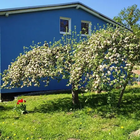 Mit Terrasse Und Kamin