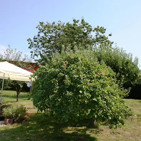 Mit Terrasse Und Kamin